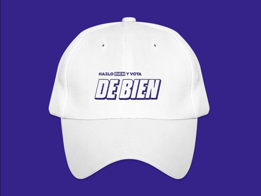 DE-BIEN image 3